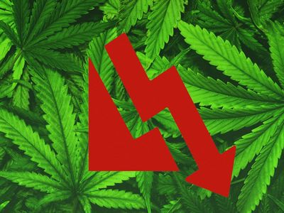 CannAmerican Stock Plummets On LOI To Acquire Mark2