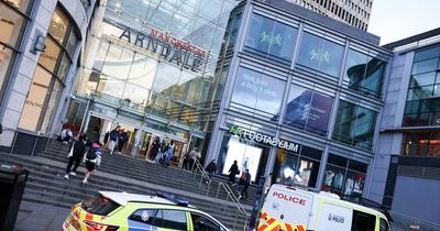 Police issue appeal after group of 'around 12' young males behave in 'violent disorderly manner' at Arndale centre