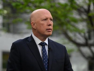 Budget missed chance for relief: Dutton