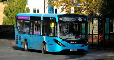 Plea to protect 'vital lifeline' bus in Newcastle after axed route given five-month reprieve