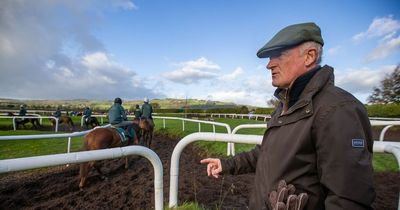 Willie Mullins gives updates on The Nice Guy, Sir Gerhard and Galopin Des Champs
