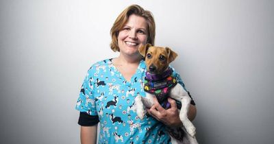 Walkies on the red carpet for the glamorous Pet Gala