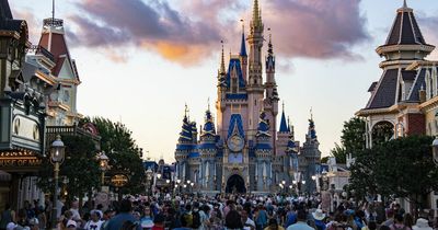 Man who made little girl cry by blocking her view at Disney World says he has no regrets