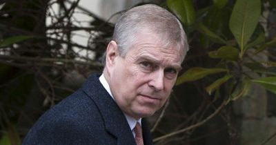 King Charles steps in to stop sacking of Princes Andrew and Harry from major job