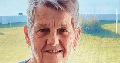 Police becoming 'concerned' about missing woman, 79, last seen getting out of vehicle