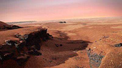 One resilient Earth species could be the key to understanding life on Mars