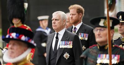 King Charles 'will keep Prince Andrew and Prince Harry as his deputies'
