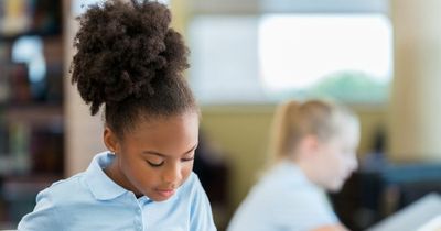 Pupils should not be stopped from wearing natural Afro styles at school, watchdog rules