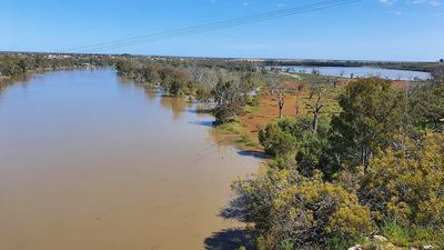 River Murray flows expected to peak at 135 gigalitres a day, SA government says