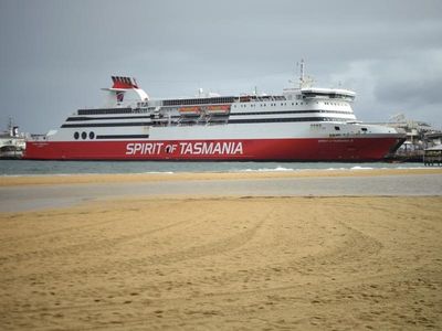 Ferry operator guilty after pony deaths