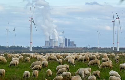 IEA sees global energy emissions peaking in 2025