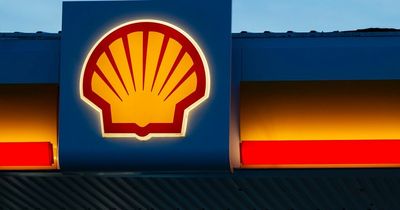 Shell profits more than DOUBLE to huge £8billion as Brits struggle against sky-high bills