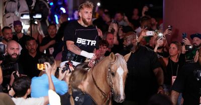 Jake Paul rides into open workout on horseback for Anderson Silva fight
