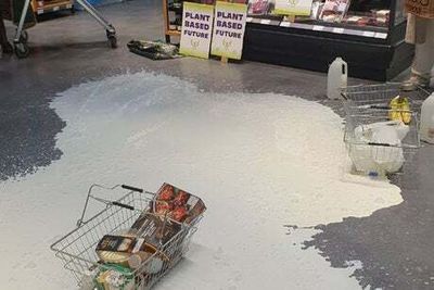 Raging over spilt milk: behind the scenes of Animal Rebellion