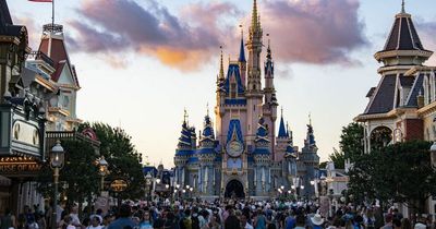 UK who tourist who made small girl cry by blocking her view at Disney has 'no regrets'