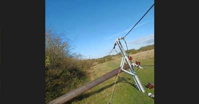 Vandals take chainsaws to electricity poles carrying 33,000-vault power lines