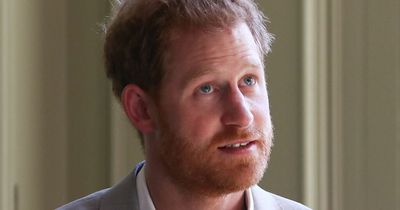 Prince Harry confirms first details of memoir including bitter title