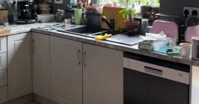 Irish woman makes two changes to kitchen and transforms it for less than €200