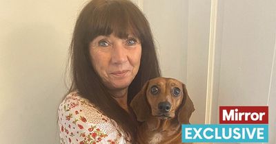 Woman too scared to leave her house after dog was viciously attacked on walk