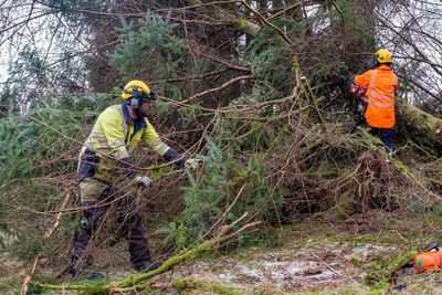 Landslides and buckling train lines ‘realistic outcomes’ of climate crisis, report warns