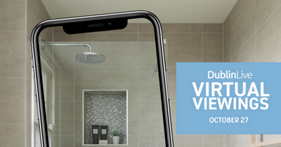 Dublin homes: 7 online virtual viewings to check out this weekend