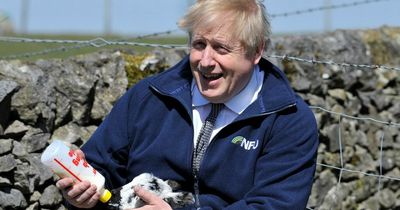 What will Boris Johnson do next? Odds have been compiled