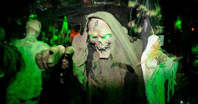 Halloween Dublin 2022: The best things to do this October bank holiday weekend