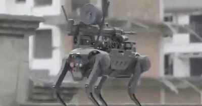 China shows off robot dog armed with machine gun dropped by drone into battle