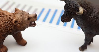Let These 3 Stocks Lead You Through the Bear Market