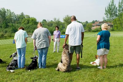 What makes a good dog good