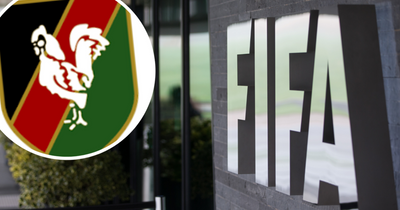 FIFA take delivery of "priceless" piece of Glentoran history