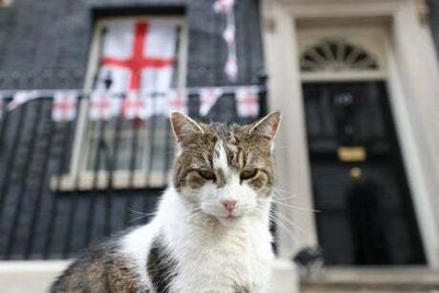 Downing Street’s famous pets from Larry the Cat to Rishi Sunak’s dog Nova