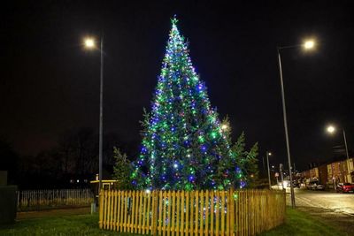 'I am not a Grinch': Council row over £3600 bill for ONE Christmas tree