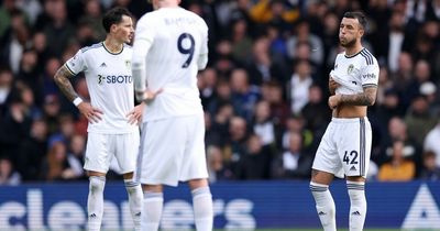 Leeds United backed by supercomputer to secure Premier League survival by narrowest of margins