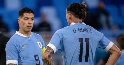 'An idiot like me' - Darwin Nunez reveals Liverpool advice from Luis Suarez