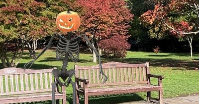 Spooky Halloween trail in Cardiff's parks that brings monsters to life in front of your eyes
