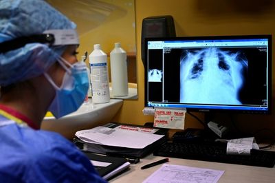 TB firmly on the rise after years of decline: WHO