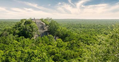 Huge ancient Mayan town discovered hidden under a jungle - including temples and markets
