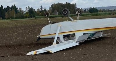 Lucky pilot emerges unscathed after crash landing plane upside down in field