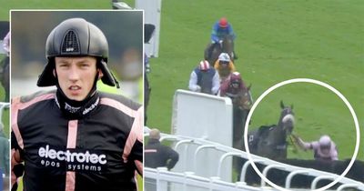 Jockey taken to hospital after being thrown off horse at final jump of race