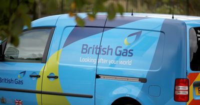 British Gas confirms it will pay customers to use washing machines at night