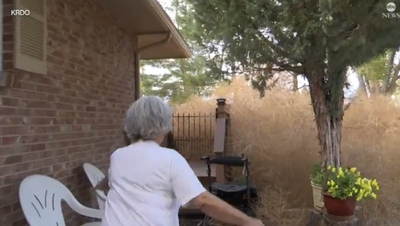 Tumbleweeds take over couple’s home: ‘It’s like a horror movie’