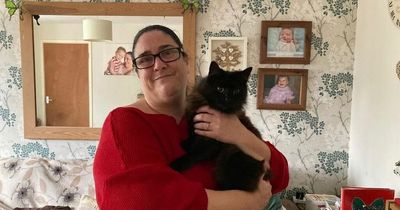 Hunt for phantom shaver after cats return home with fur shorn leaving owners distraught