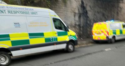 Edinburgh man rushed to hospital after falling from busy tram bridge