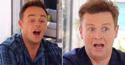 I'm A Celebrity: Ant and Dec gasp as they react to seeing full line-up for first time