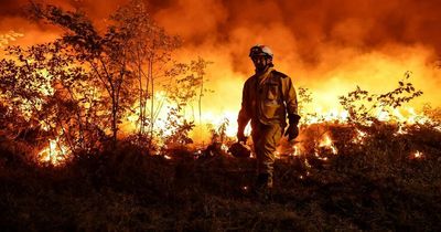 World 'wasted year' on tackling climate change as 'no credible path' to target