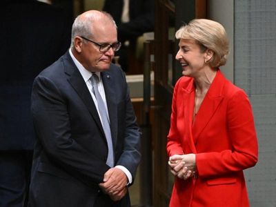Attorney-general examines Morrison leaks
