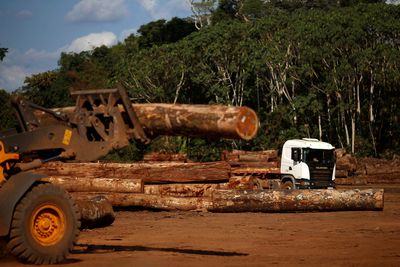Brazil's top court set to rule in favor of Amazon Fund revival