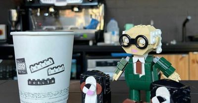 Dublin Lego brick cafe's two day trial ends