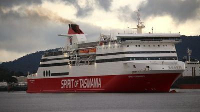 Melbourne Cup day horse freight thrown into chaos as livestock stopped from travelling on Spirit of Tasmania